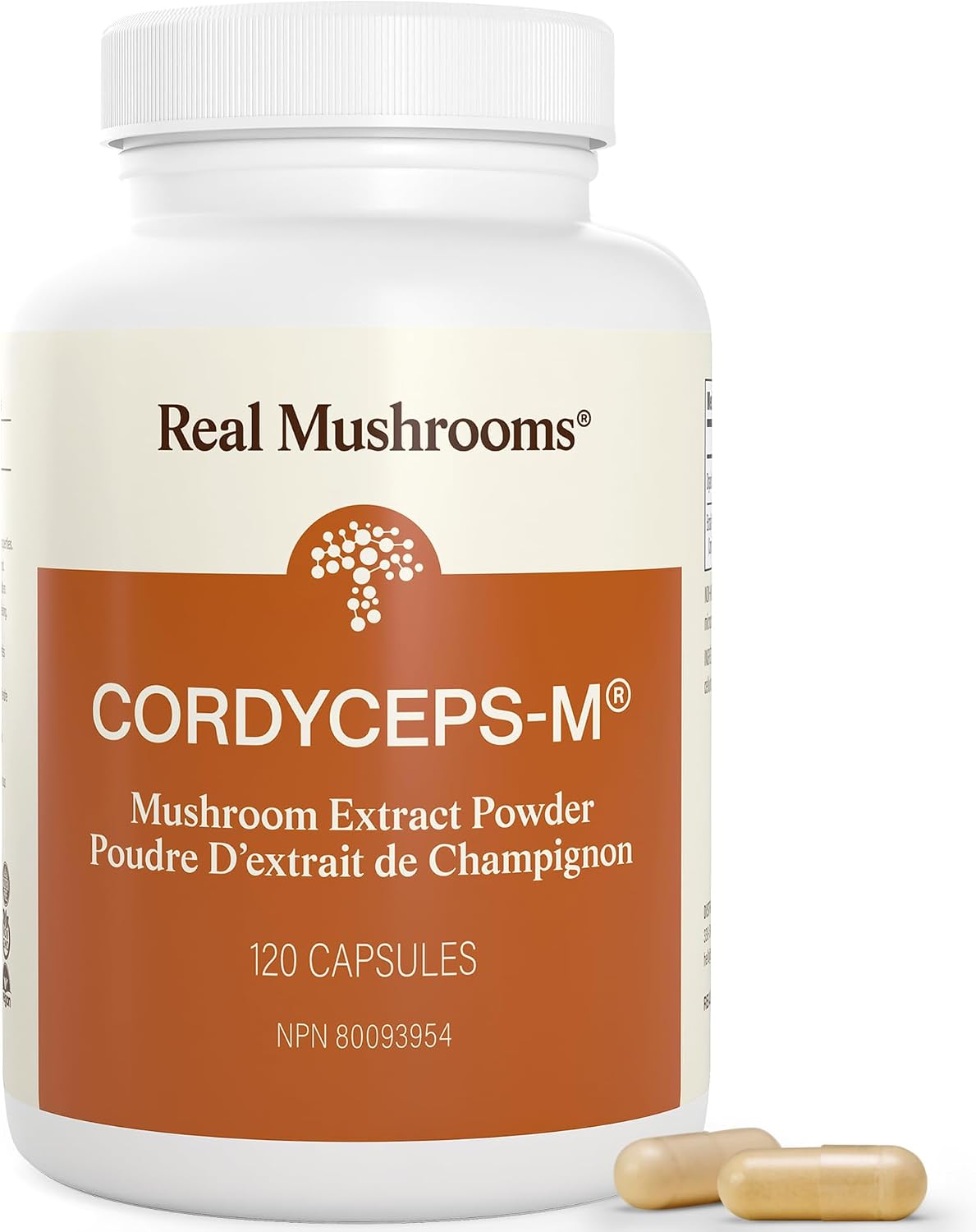 Best Cordyceps Supplements: Benefits, Energy & Top Picks