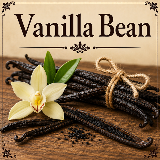 Vanilla Bean benefits uses side effects natural flavoring antioxidant support and wellness guide