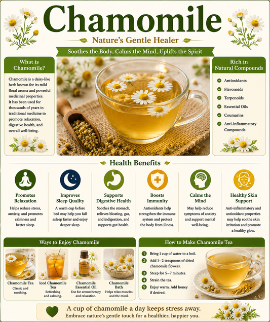 Fresh and dried chamomile flowers with a cup of chamomile tea, highlighting their antioxidants, calming properties, caffeine-free nature, and traditional wellness benefits.