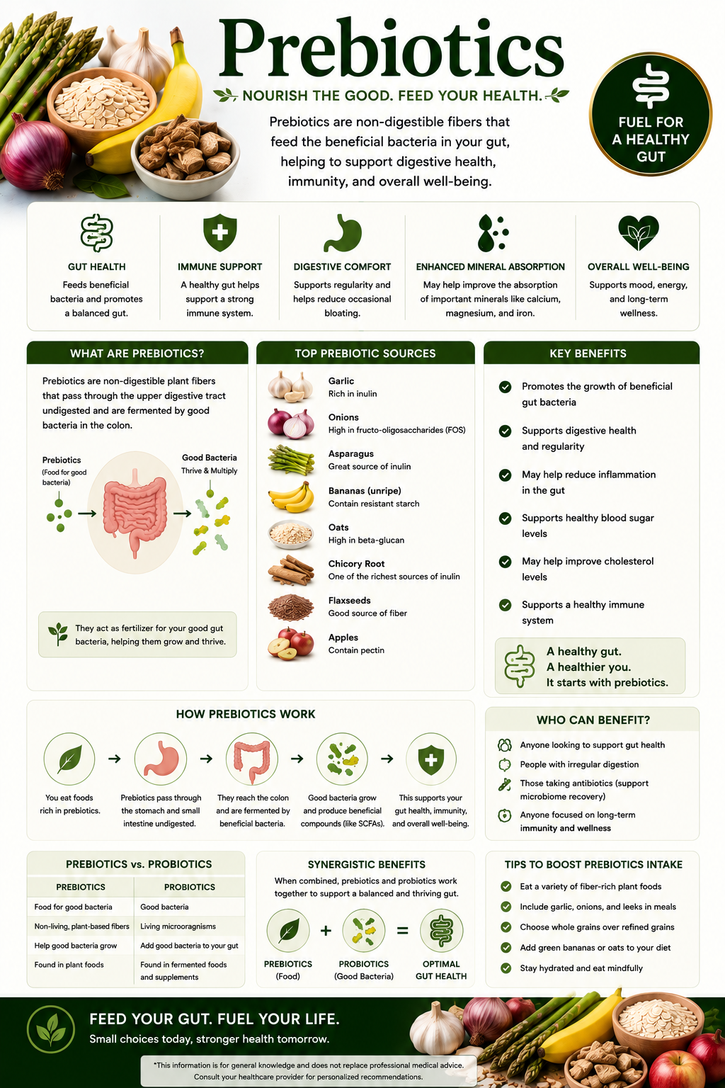 Prebiotic supplement powder with bananas, garlic, onions, oats, and chicory root supporting gut health, digestive wellness, microbiome balance, and immune support.