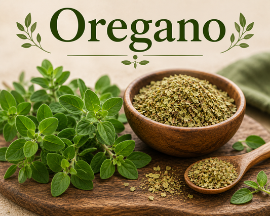 Oregano Benefits, Nutrition, Uses & Wellness Guide