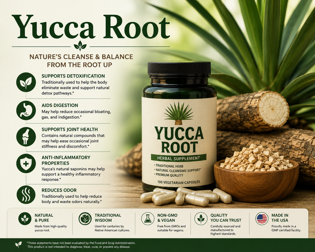 Yucca Root supplement capsules and fresh yucca roots supporting antioxidant protection, healthy aging, and overall wellness.