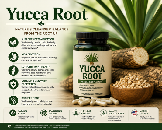 Yucca Root supplement capsules and fresh yucca roots supporting antioxidant protection, healthy aging, and overall wellness.