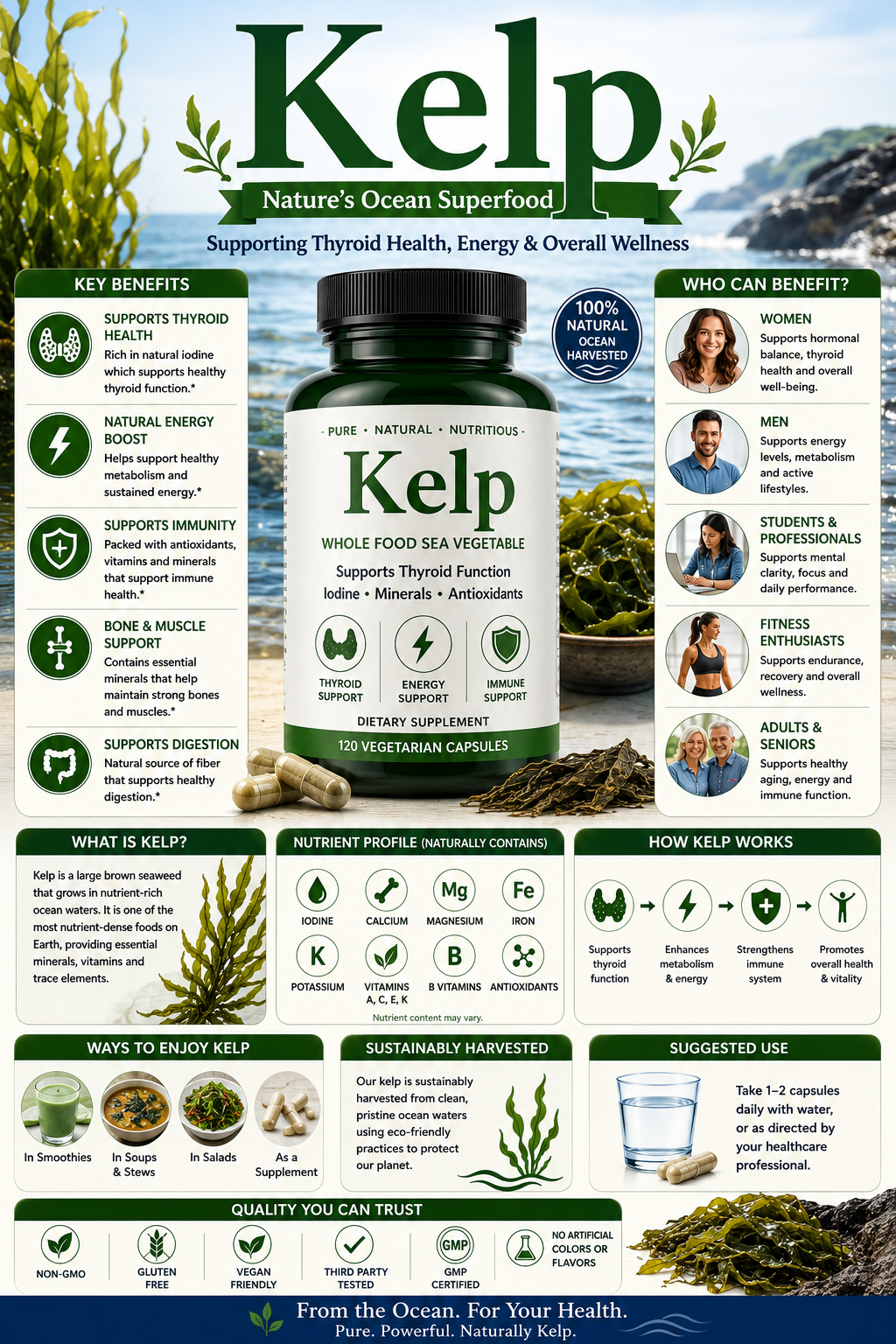 Kelp supplement capsules and seaweed supporting thyroid health, iodine intake, metabolism, and healthy aging.