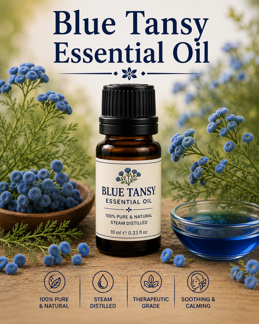 Blue tansy essential oil bottle with blue tansy flowers showcasing its distinctive deep blue color, aromatic compounds, skincare applications, and wellness-supporting benefits.