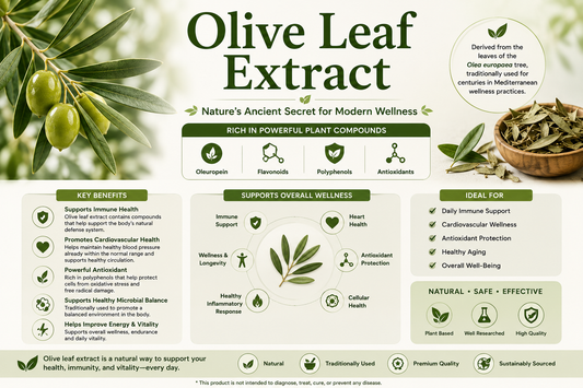 Olive Leaf Extract capsules and olive leaves supporting immune wellness, heart health, antioxidant protection, and healthy aging.