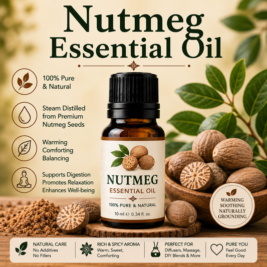 Nutmeg essential oil bottle with whole nutmeg seeds showcasing its warm spicy aroma, natural aromatic compounds, aromatherapy applications, and wellness-supporting benefits.