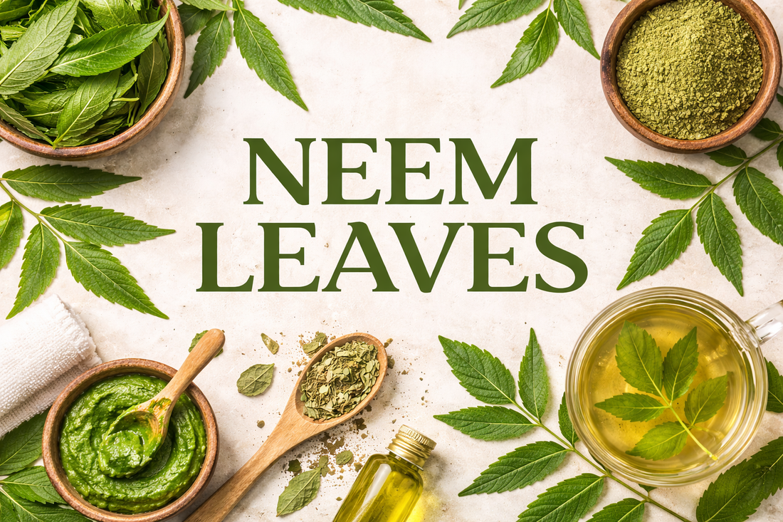 NEEM LEAVES