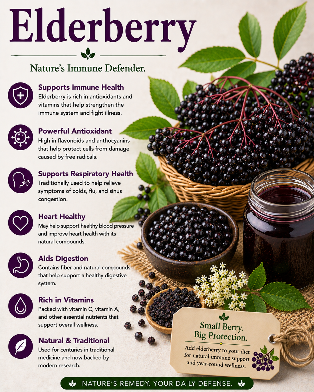 Elderberry natural remedy benefits uses side effects and wellness guide