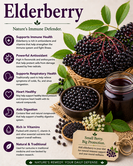 Elderberry natural remedy benefits uses side effects and wellness guide