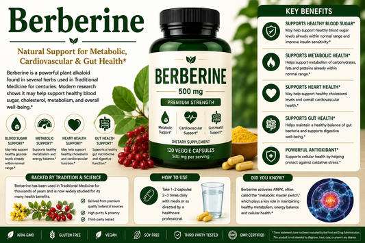 Berberine supplement capsules and barberry plant supporting blood sugar wellness, metabolic health, heart health, digestive wellness, and healthy aging.
