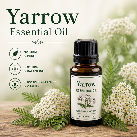 Yarrow essential oil