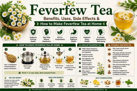 Feverfew Tea Benefits, Uses, Side Effects & How to Make Feverfew Tea at Home