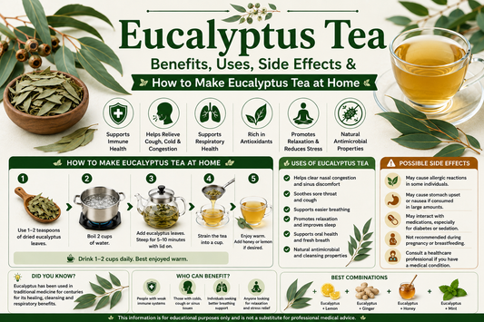 Eucalyptus Tea Benefits, Uses, Side Effects & How to Make Eucalyptus Tea at Home