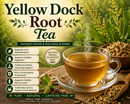 Yellow Dock Root Tea Benefits, Uses, Side Effects & How to Make Yellow Dock Root Tea at Home