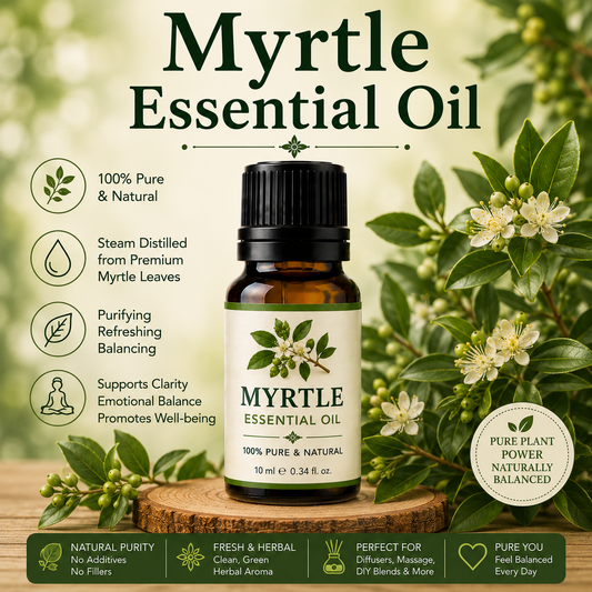 Myrtle essential oil bottle with fresh myrtle leaves and berries showcasing its clean herbaceous aroma, natural aromatic compounds, aromatherapy applications, and wellness-supporting benefits.