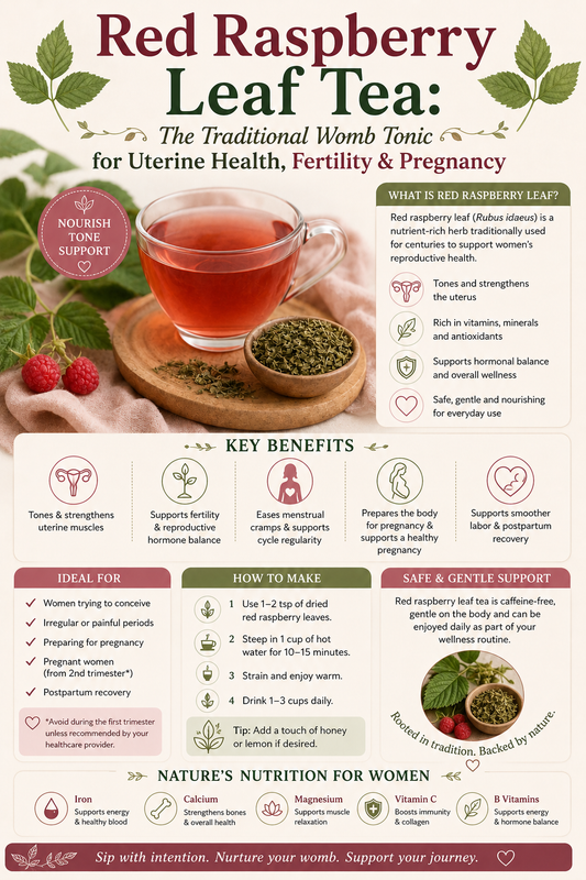 Warm cup of red raspberry leaf tea brewed with dried herbs for natural uterine health and fertility support