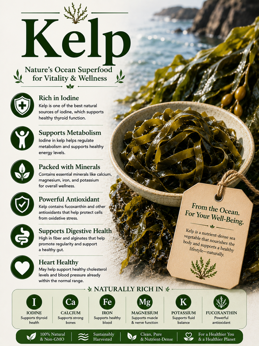 Kelp natural remedy benefits uses side effects nutrition and wellness guide