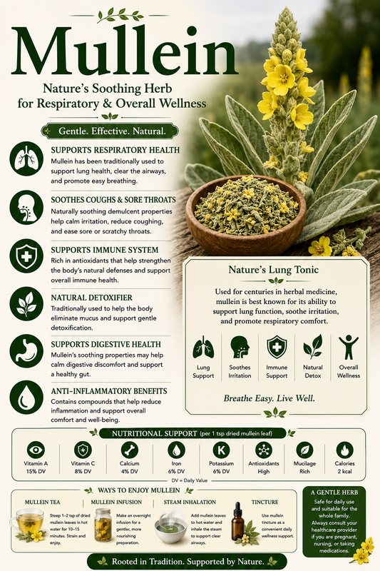 Mullein natural remedy benefits uses side effects respiratory health lung support and wellness guide