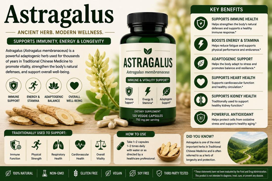 Astragalus root and Astragalus supplement capsules supporting immune wellness, vitality, healthy aging, and antioxidant protection.