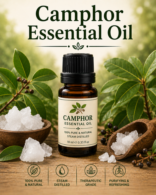 Camphor essential oil bottle with camphor tree leaves and wood showcasing its cooling aroma, natural aromatic compounds, aromatherapy applications, and wellness-supporting benefits.