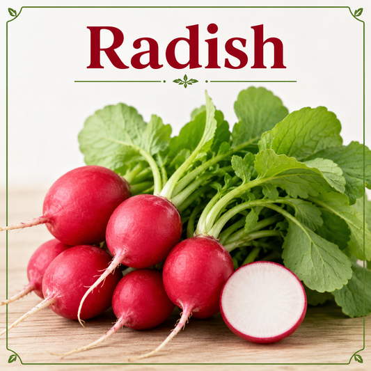 Fresh radishes showcasing their vitamin C, fiber, antioxidants, minerals, crisp texture, and wellness-supporting nutritional benefits.