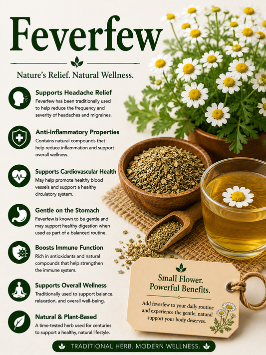 Feverfew: Benefits, Uses, Side Effects & How to Use It Safely
