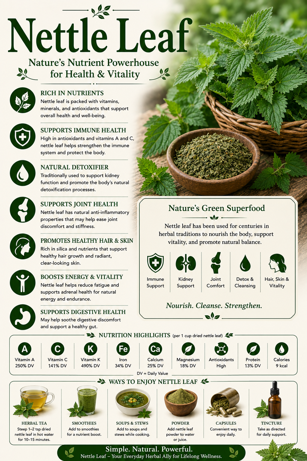 Nettle Leaf natural remedy benefits uses side effects seasonal wellness and wellness guide