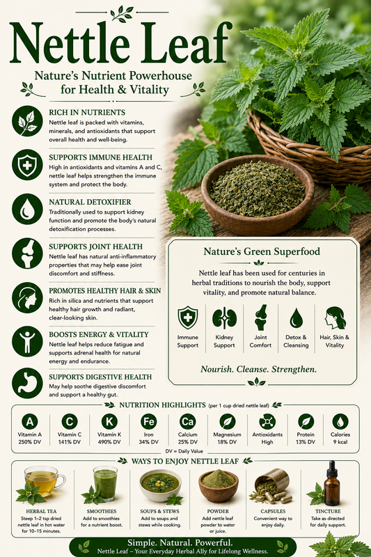 Nettle Leaf natural remedy benefits uses side effects seasonal wellness and wellness guide