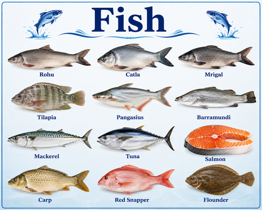 Fish Benefits, Nutrition, Health Benefits, Uses & Wellness Guide