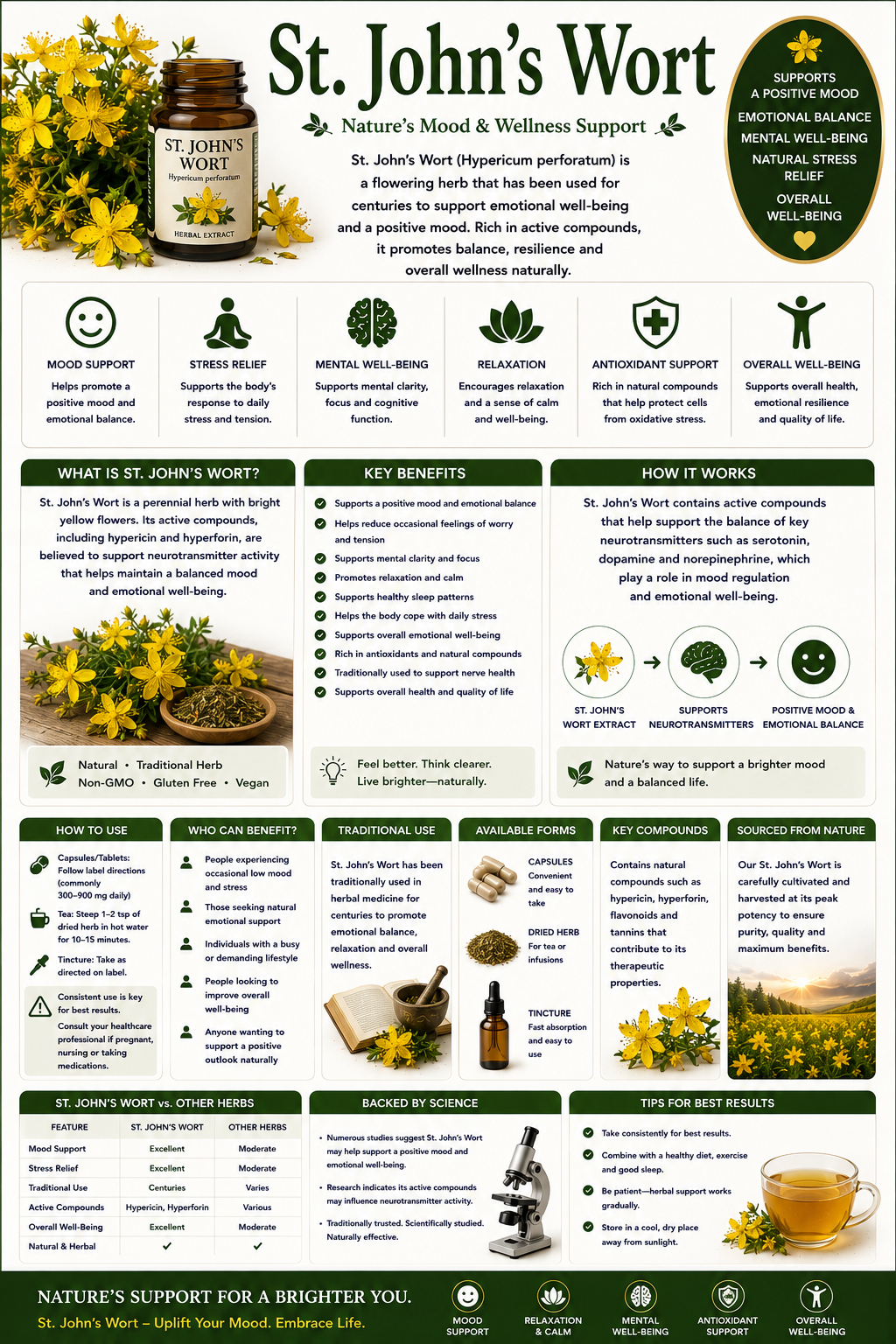 St. John's Wort flowers and supplement capsules supporting mood wellness, emotional balance, and nervous system health.