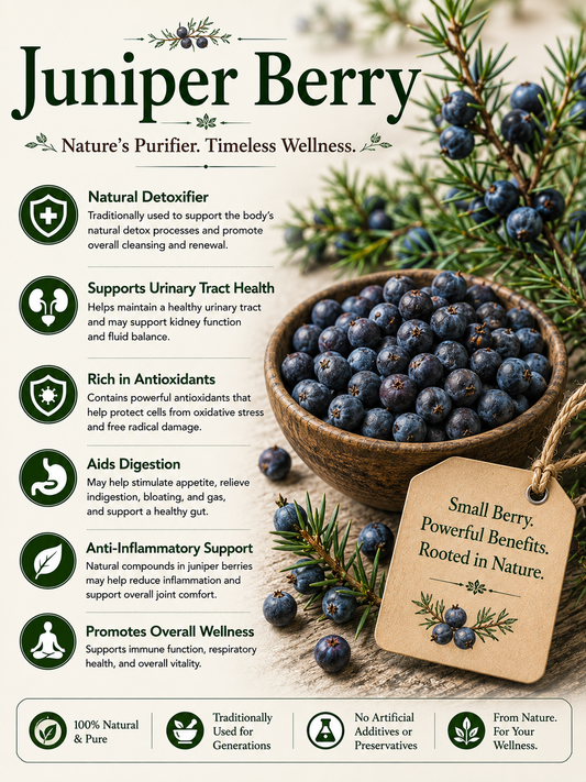 Juniper berry natural remedy benefits uses side effects and wellness guide