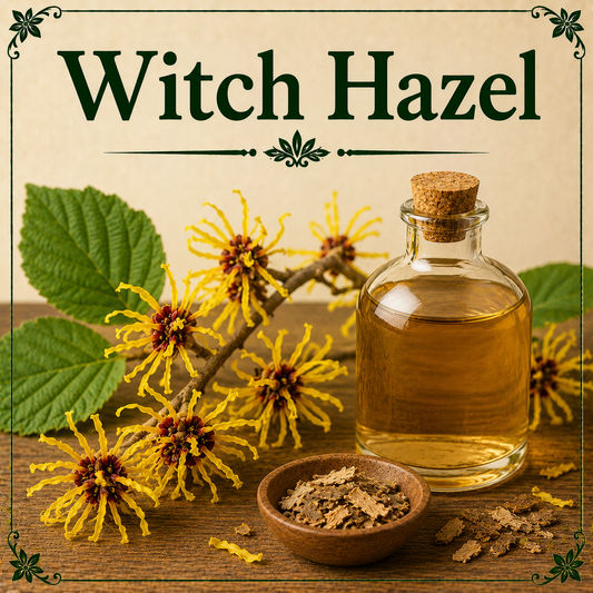 Witch Hazel benefits uses side effects natural skin care scalp wellness and beauty guide