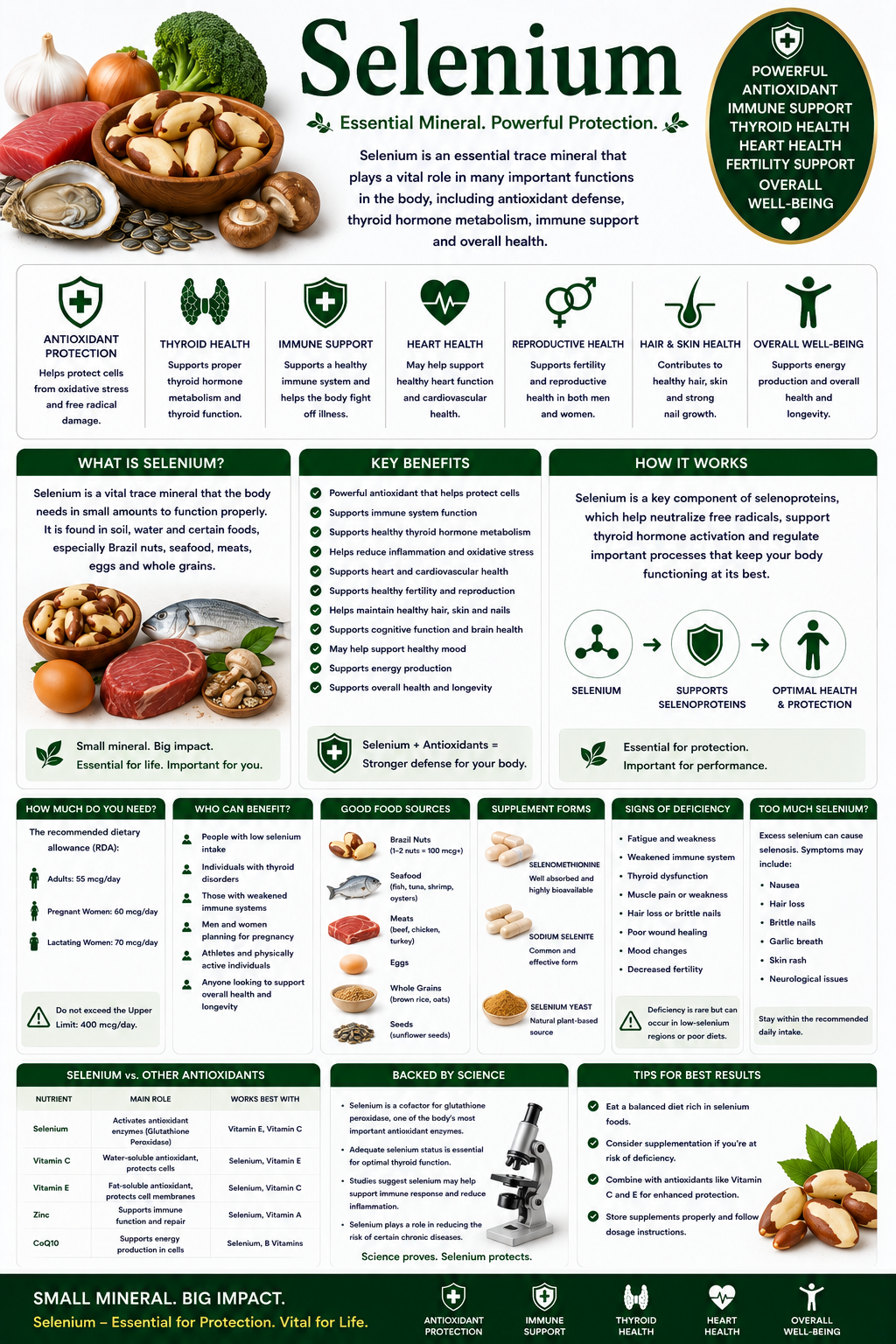 Selenium supplement capsules with Brazil nuts and seafood supporting thyroid health, immune wellness, and antioxidant protection.
