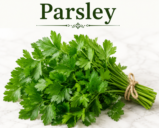 Parsley benefits uses side effects kidney support digestive wellness and nutrition guide