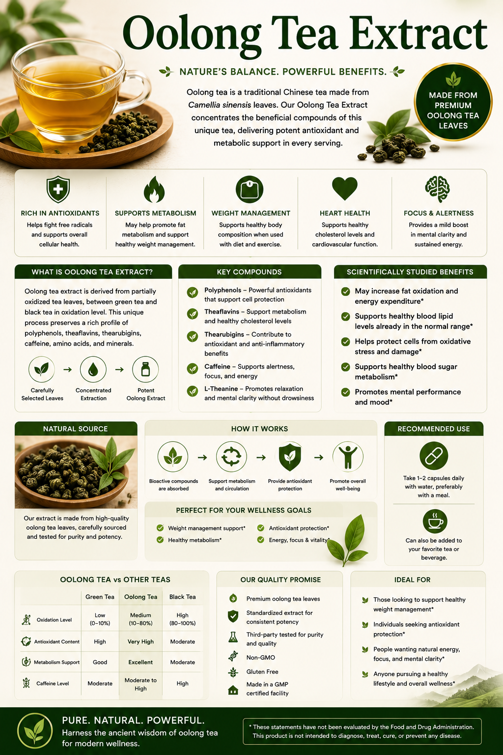 Oolong Tea Extract capsules and brewed oolong tea supporting antioxidant protection, metabolism, heart health, and healthy aging.