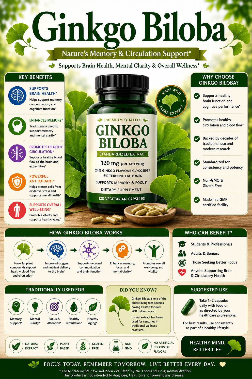 Ginkgo Biloba supplement capsules and Ginkgo leaves supporting memory, cognitive wellness, circulation, and healthy aging.