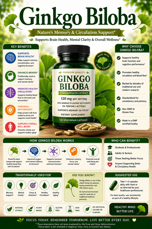 Ginkgo Biloba supplement capsules and Ginkgo leaves supporting memory, cognitive wellness, circulation, and healthy aging.