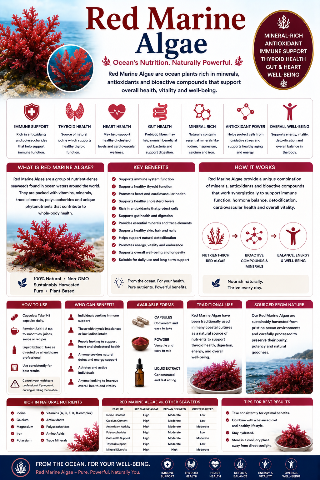 Red Marine Algae supplement capsules and red sea algae supporting bone health, calcium intake, mineral balance, and joint wellness.