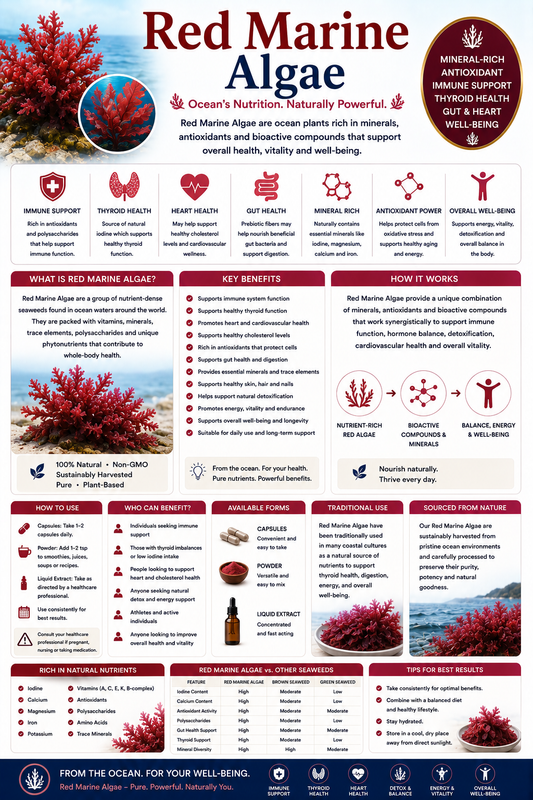Red Marine Algae supplement capsules and red sea algae supporting bone health, calcium intake, mineral balance, and joint wellness.