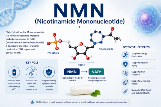 NMN supplement capsules supporting NAD+ production, cellular energy, healthy aging, metabolism, and longevity wellness.