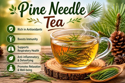 Pine Needle Tea Benefits, Uses, Side Effects & How to Make Pine Needle Tea at Home