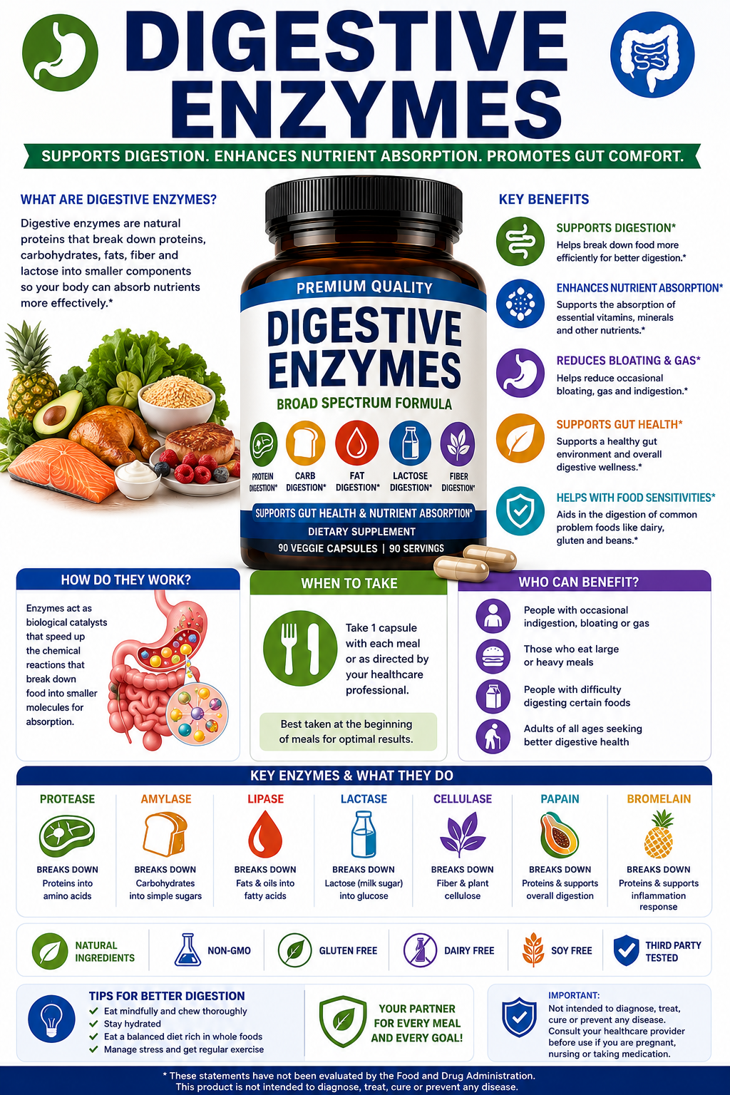 Digestive enzyme supplement capsules with healthy digestive system imagery supporting nutrient absorption, gut wellness, and digestive comfort.