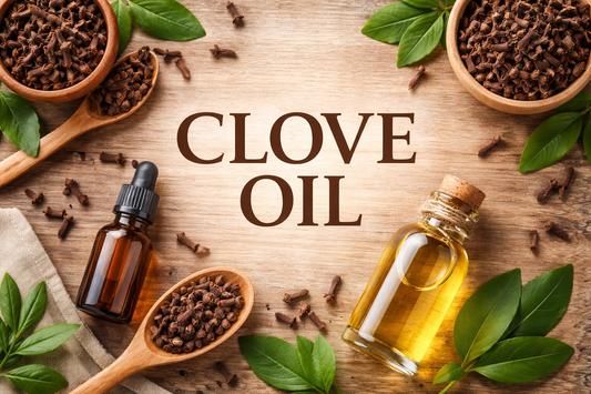 🌱 CLOVE OIL