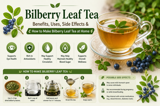 Bilberry Leaf Tea Benefits, Uses, Side Effects & How to Make Bilberry Leaf Tea at Home