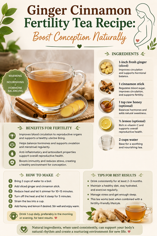 Warm cup of homemade ginger cinnamon fertility tea with raw honey and lemon for natural conception support