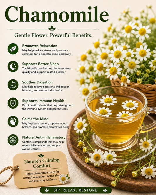 Chamomile natural remedy benefits uses side effects and wellness guide