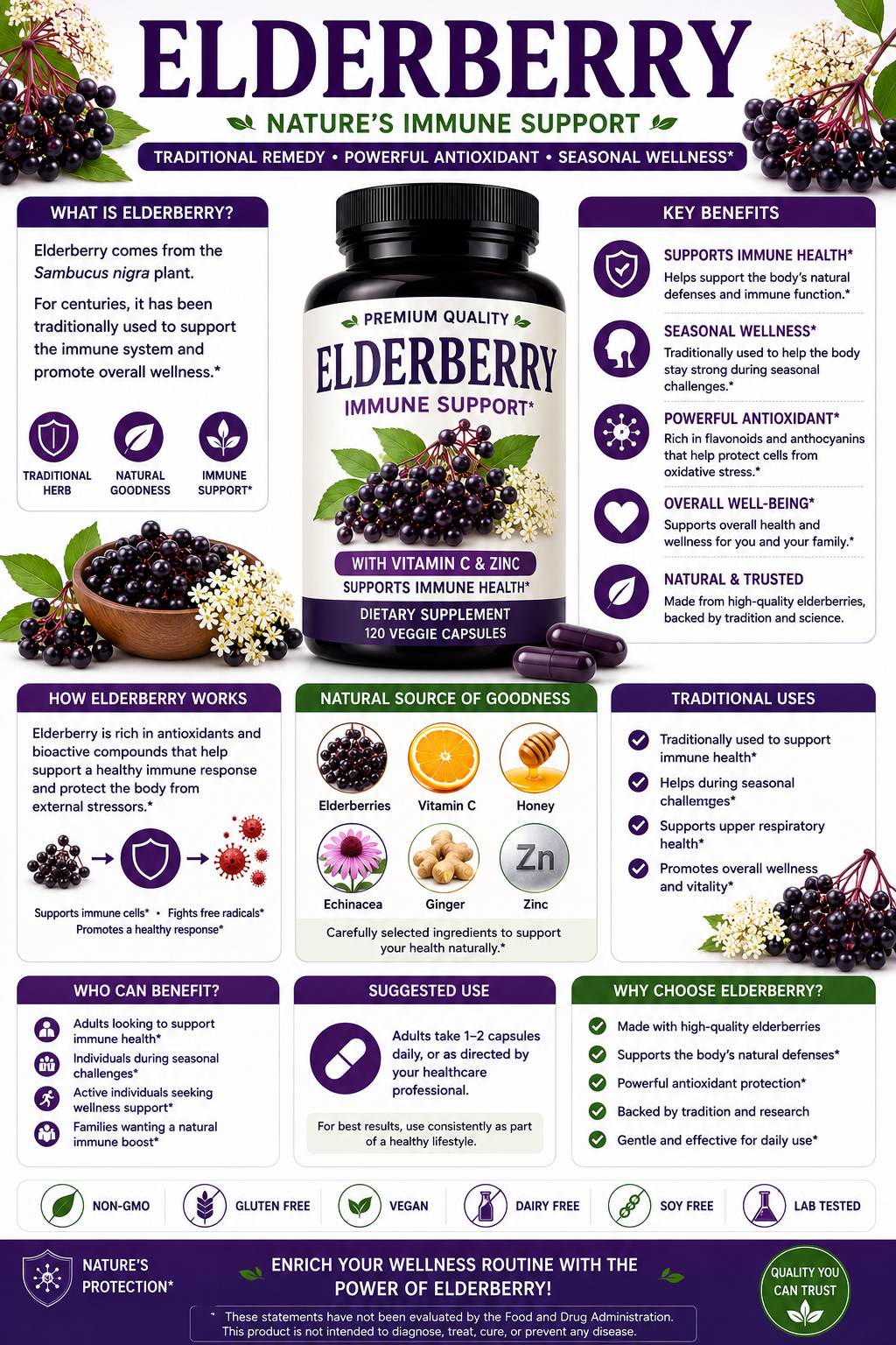 Elderberry syrup, capsules, and fresh elderberries supporting immune health, seasonal wellness, antioxidant protection, and healthy aging.