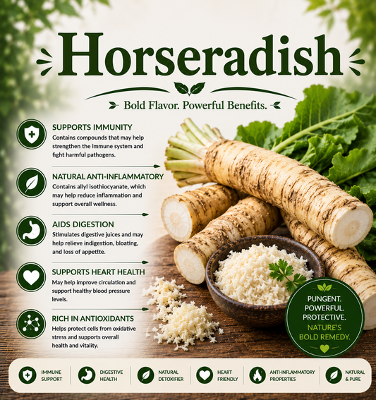 Fresh horseradish root showcasing its vitamin C, antioxidants, sulfur-containing compounds, spicy flavor, and wellness-supporting nutritional benefits.
