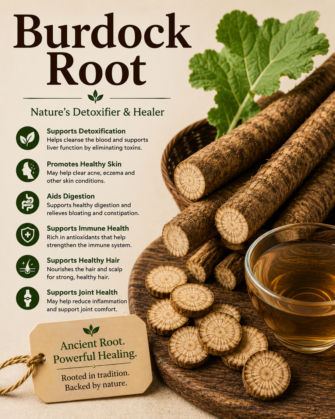 Burdock root natural remedy benefits uses side effects and wellness guide